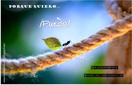 Resultado de imagen para imagenes de dominio y control propio