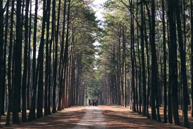 Mi vida es tuya Oh Dios