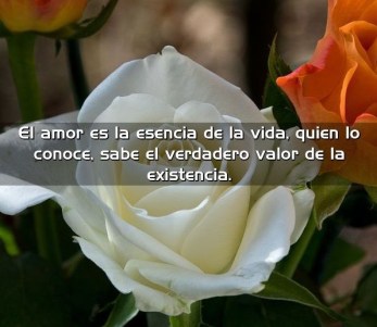 amor y valor
