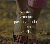 e0e900077354a02c1d5abf8950a0b5d6